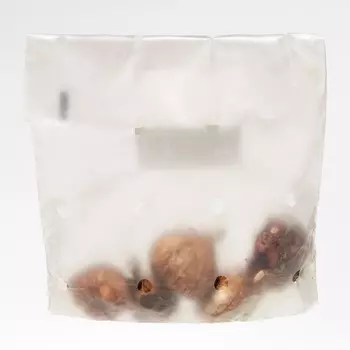 Гладиолус микс цветов, размер 10/12, Весна 2022, 5 шт.