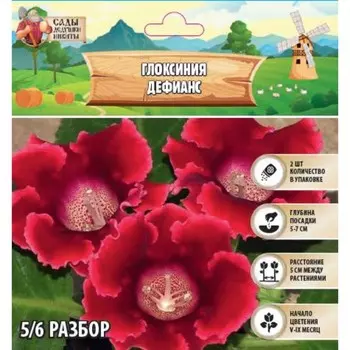 Глоксиния «Дефианс» многолетник, комнатный, луковица в пакете с перфорацией, р-р 5/6, 2 шт.