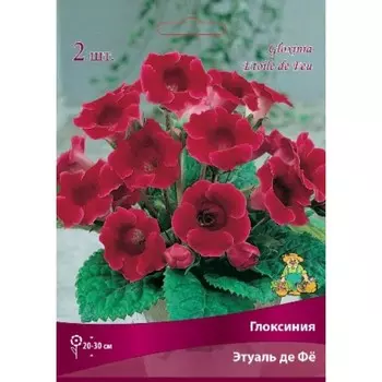 Глоксиния "Этуаль де Фё", 2 шт, р-р 4/5., Весна 2023