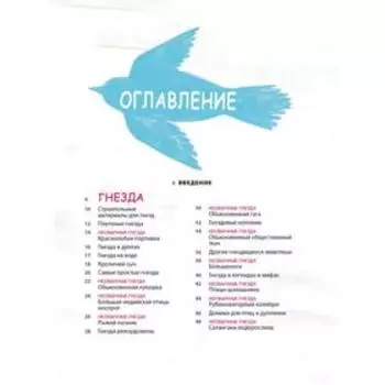 Гнёзда, яйца, птицы. Осейд К.