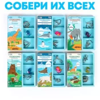 Головоломка металлическая «Животные мира», в шоубоксе