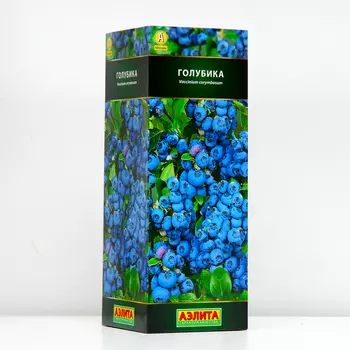 Голубика Блюкроп (P9), 1 шт, Весна 2024