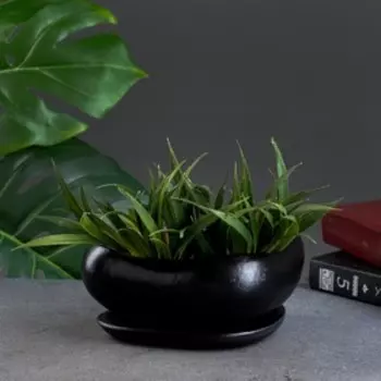 Горшок "Бонсай малый" для кактусов и суккулентов, черный, 0,6, л/ 17х14х7см