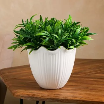 Горшок для цветов "Лепесток", без поддона, белый, керамика, 1.3 л, 1 сорт, Иран