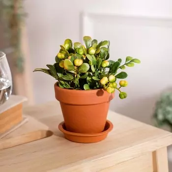 Горшок для цветов "Стандарт", красная глина, 0.2 л