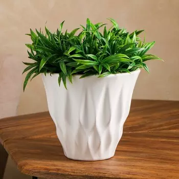 Горшок для цветов "Трофей", без поддона, белый, керамика, 1.5 л, 1 сорт, Иран