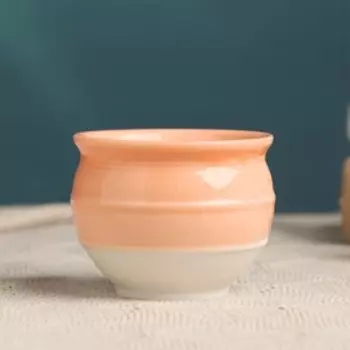 Горшок для цветов "Вазон" персиковый 8*8*6см