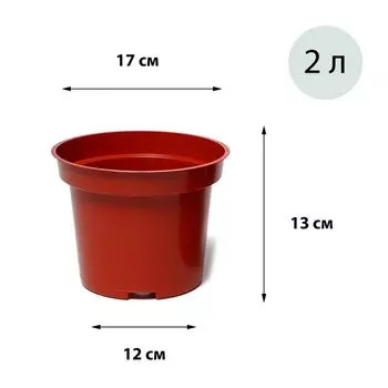 Горшок для рассады, 2 л, d = 17 см, h = 13 см, терракот, Greengo