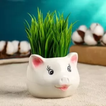 Горшок "Голова поросенка" 9*9*7м