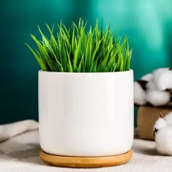 Горшок для цветов «Эко» керамический, 500 мл, 109.5 см, с деревянной подставкой, белый