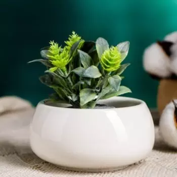 Горшок для цветов «Лайт бонсай», 200 мл, d=8.3 см, h=4.3 см, керамика, белый