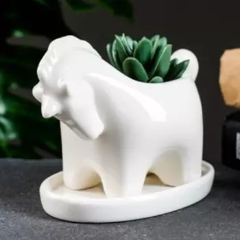 Горшок для цветов «Лошадка» с поддоном, керамический, 200 мл, 13710 см, белый