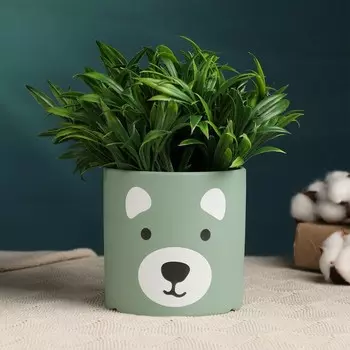 Горшок "Мишки" зеленый 11*11*11см