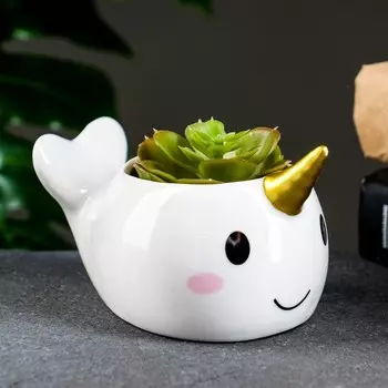 Горшок для цветов «Нарвал», керамический, 150 мл, 1387 см, белый