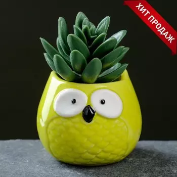 Горшок для цветов «Сова Гриня» керамический, 150 мл, 56 см, жёлтый