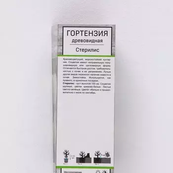 Гортензия древовидная "Стерилис", 1 шт, туба, Весна 2025