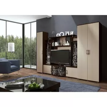 Гостиная «Виста», 30505602120 мм, цвет дуб белёный / венге