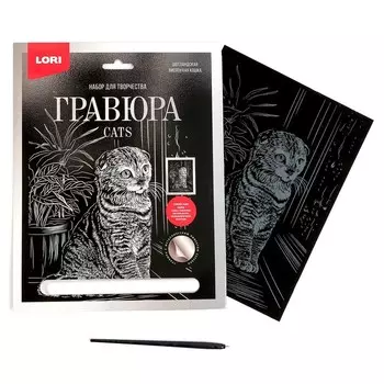 Гравюра большая с эффектом серебра «Шотландская вислоухая»