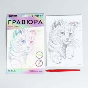 Гравюра «Пушистый котёнок» A5, с металлическим эффектом «голография»