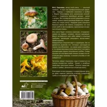 Грибы. Большая энциклопедия. Сергеева М.Н.