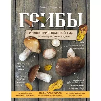 Грибы. Иллюстрированный гид по популярным видам. Ярощук А.И.