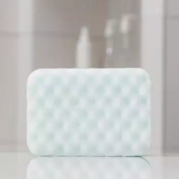 Губка для тела «Афродита», 14.510.56 см, МИКС