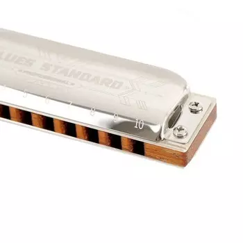 Губная гармоника Easttop, PRO10 A, диатоническая