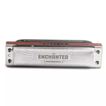 Губная гармоника Easttop, PRO30 E, диатоническая