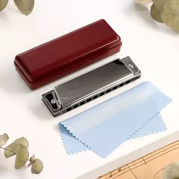 Губная гармошка Music Life T10 C диатоническая, 10 отверстий, с футляром