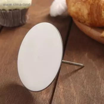Гвоздь кондитерский для цветов, d=7 см, h=7 см, серебристый