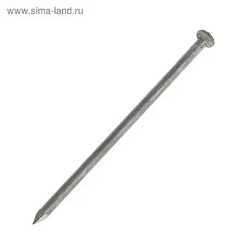 Гвозди ТУНДРА, строительные, ГОСТ 4028-63, без покрытия, 380 мм, 5 кг