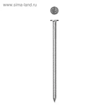 Гвозди ершёные с плоской головкой "ЗУБР Мастер", 4.2 х 70 мм, оцинкованные, в упаковке 5 кг