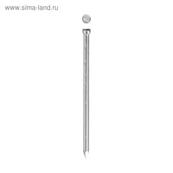 Гвозди финишные "ЗУБР Мастер", 3 × 70 мм, оцинкованные, в упаковке 350 шт.