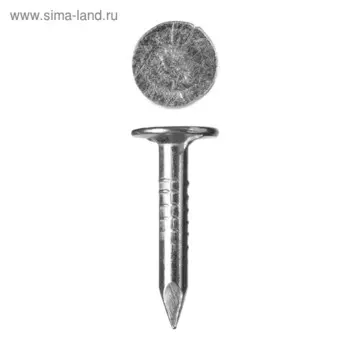 Гвозди с большой потайной головкой "ЗУБР Мастер", 3 20 мм, оцинкованные, в упаковке 5 кг