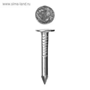 Гвозди с большой потайной головкой "ЗУБР Мастер", 3 25 мм, оцинкованные, в упаковке 5 кг