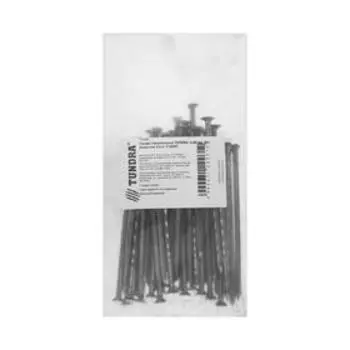 Гвозди ТУНДРА, строительные, ГОСТ 4028-63, без покрытия, 380 мм, фасовка 0.2 кг