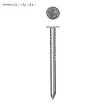 Гвозди ЗУБР Мастер, толевые, оцинкованные, 2,5x32 мм, 5 кг