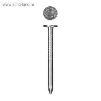 Гвозди ЗУБР Мастер, толевые, оцинкованные, 2x25 мм, 5 кг