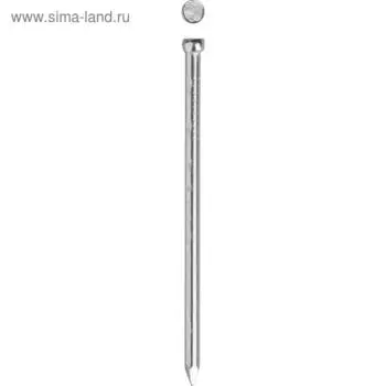 Гвозди ЗУБР, финишные, оцинкованные, 1,6x25 мм, 0,1 кг