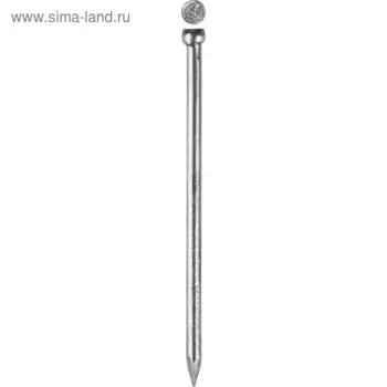 Гвозди ЗУБР ПРОФЕССИОНАЛ, финишные, ГОСТ 7811-7035, с покрытием венге, 1.840 мм, 5 кг