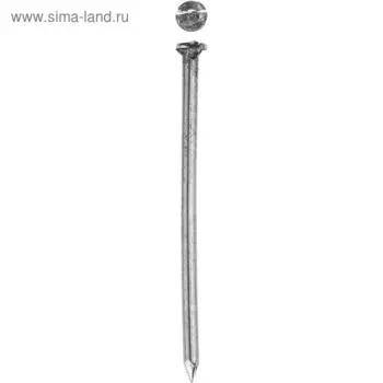 Гвозди ЗУБР, строительные, без покрытия, 1,2x25 мм, 5 кг