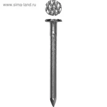 Гвозди ЗУБР, строительные, оцинкованные, 3x80 мм, 230 шт