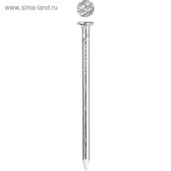 Гвозди ЗУБР, строительные, оцинкованные, 3x80 мм, 1 кг