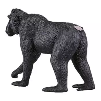 Фигурка Konik «Хохлатый павиан»