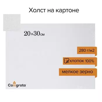 Холст на картоне Calligrata, хлопок 100%, 2030 см, 3 мм, акриловый грунт, мелкое зерно, 280 г/м