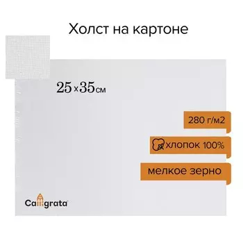 Холст на картоне Calligrata, хлопок 100%, 2535 см, 3 мм, акриловый грунт, мелкое зерно, 280 г/м