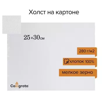 Холст на картоне Calligrata, хлопок 100%, 2530 см, 3 мм, акриловый грунт, мелкое зерно, 280 г/м