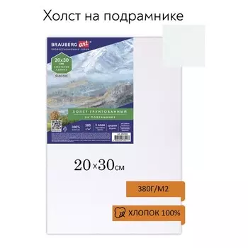 Холст на подрамнике 20 х 30 см, 380 г/м2, грунтованный, 100% хлопок, BRAUBERG ART (192194)