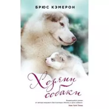 Хозяин собаки