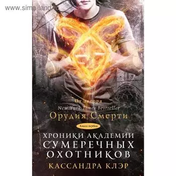 Хроники Академии Сумеречных охотников. Кассандра К.